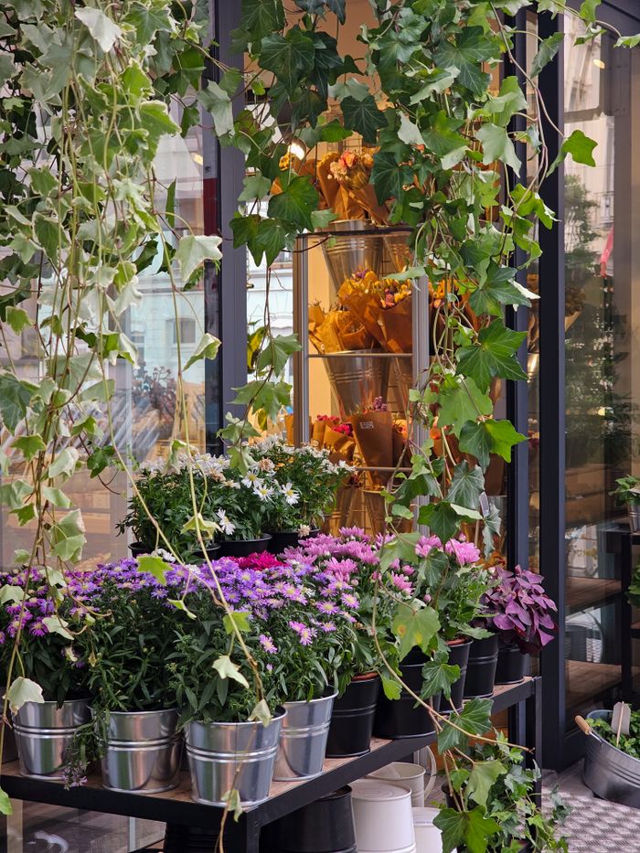 Colorful flower shop display with various plants and buckets in an outdoor setting.